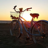 Bicycle Rental